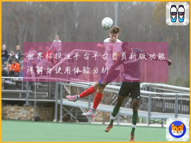 世界杯投注平台平台首页新版功能详解与使用体验分析