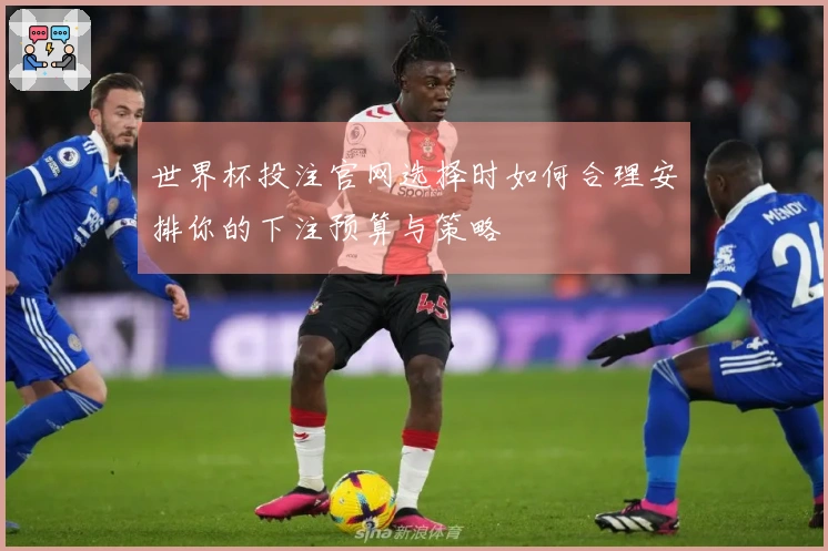 世界杯投注官网选择时如何合理安排你的下注预算与策略