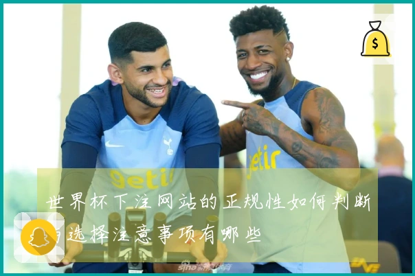 世界杯下注网站的正规性如何判断与选择注意事项有哪些
