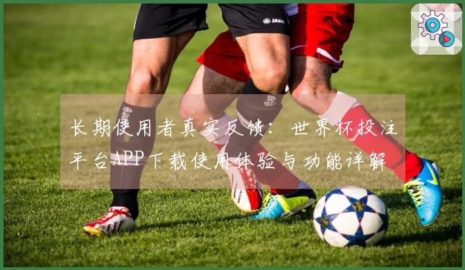 长期使用者真实反馈：世界杯投注平台APP下载使用体验与功能详解