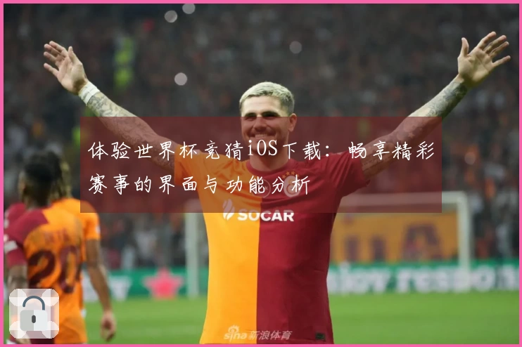 体验世界杯竞猜iOS下载：畅享精彩赛事的界面与功能分析