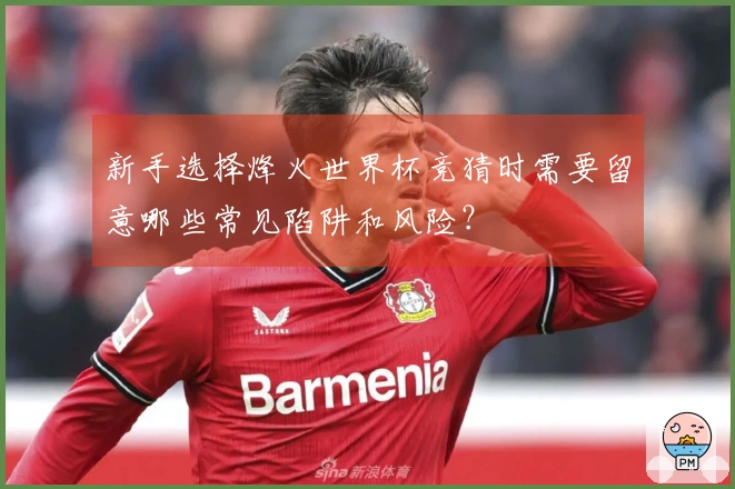 新手选择烽火世界杯竞猜时需要留意哪些常见陷阱和风险?