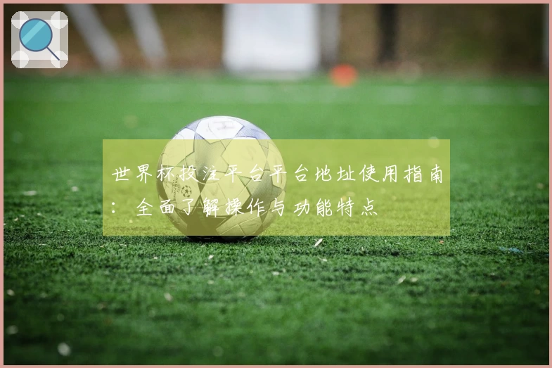 世界杯投注平台平台地址使用指南：全面了解操作与功能特点