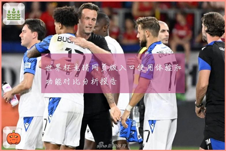 世界杯竞猜网页版入口使用体验和功能对比分析报告