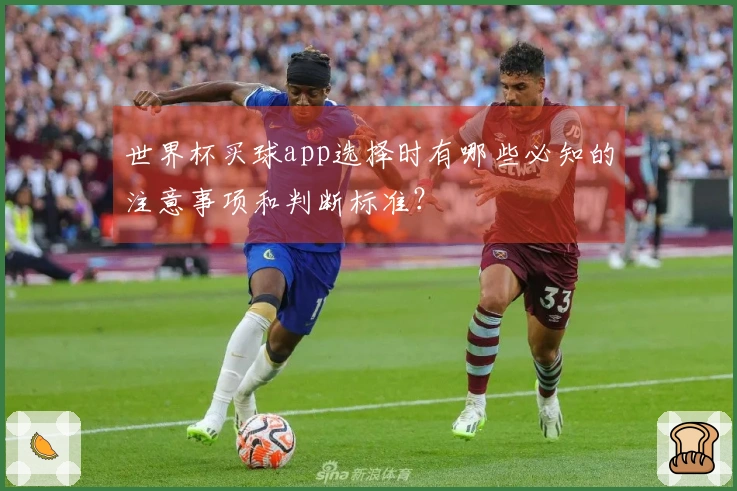 世界杯买球app选择时有哪些必知的注意事项和判断标准?