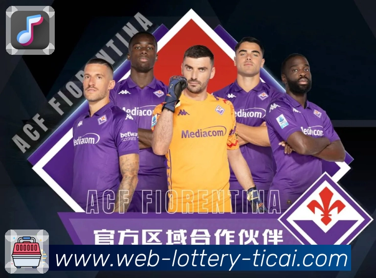 长期使用者真实反馈：世界杯投注平台APP下载使用体验与功能详解