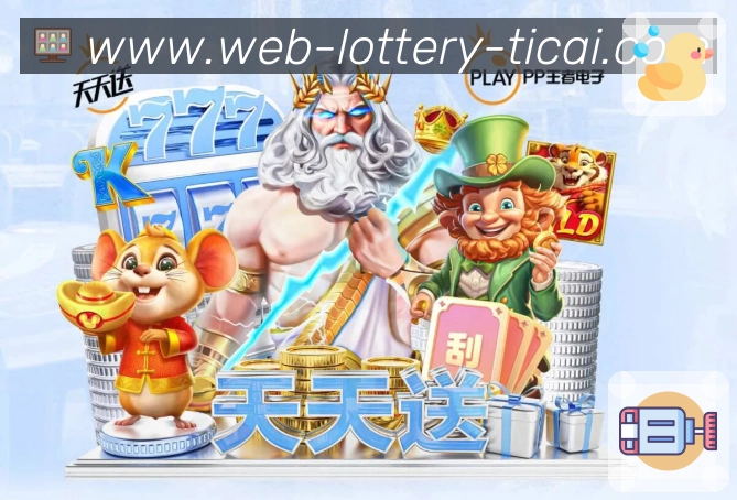 奖项证书